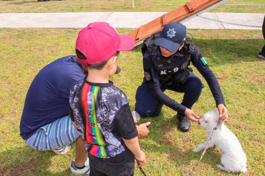 Más de 100 familias participan en curso de adiestramiento canino en Corregidora