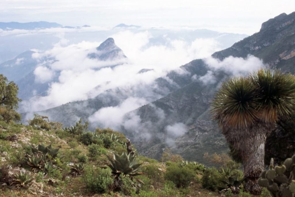 Sierra Gorda, el tesoro natural de Querétaro