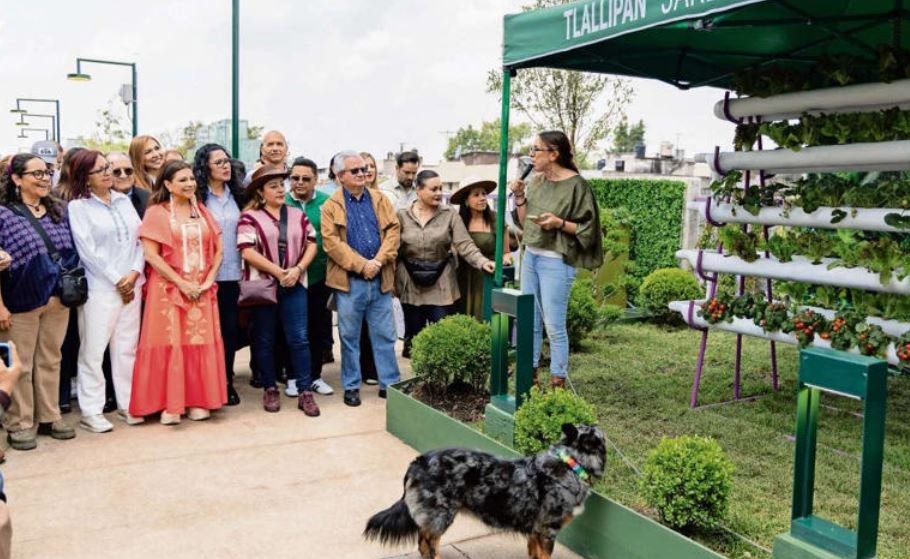 Abren Jardín Flotante Tlallipan con trabajos aún pendientes