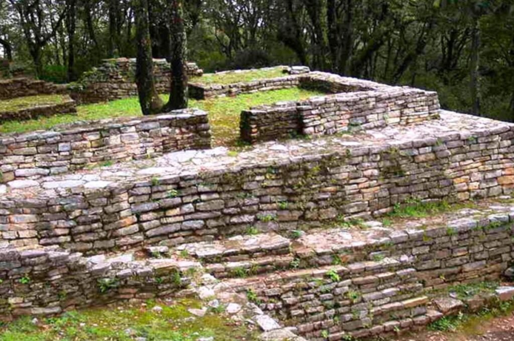 “Campo Alegre y Zona Arqueológica de Ranas: naturaleza y legado prehispánico en San Joaquín”