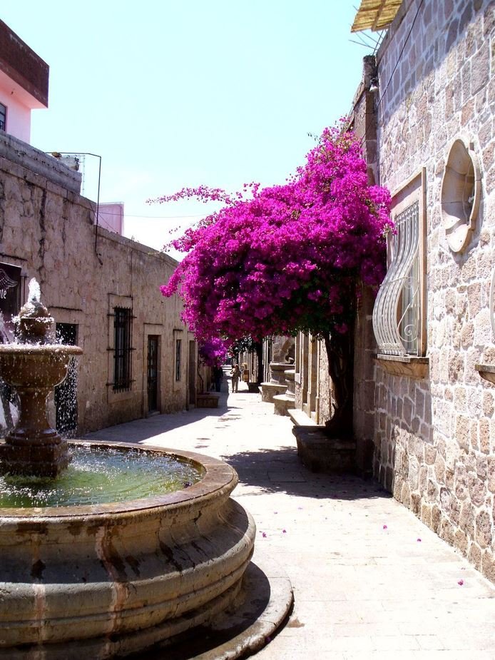 Calle de las Bugambilias, un rincón de Querétaro que refleja la vida cotidiana de la ciudad