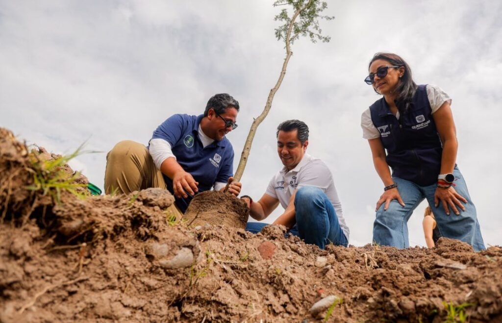 Querétaro impulsa la reforestación con más de 350 árboles plantados en La Queretana