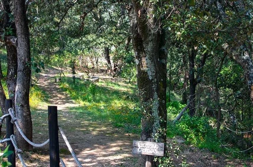 Parque Natural La Beata un refugio de bosque y naturaleza en Amealco