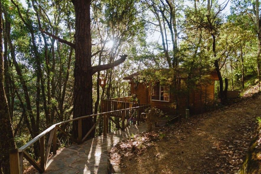 El bosque queretano que invita a desconectarse