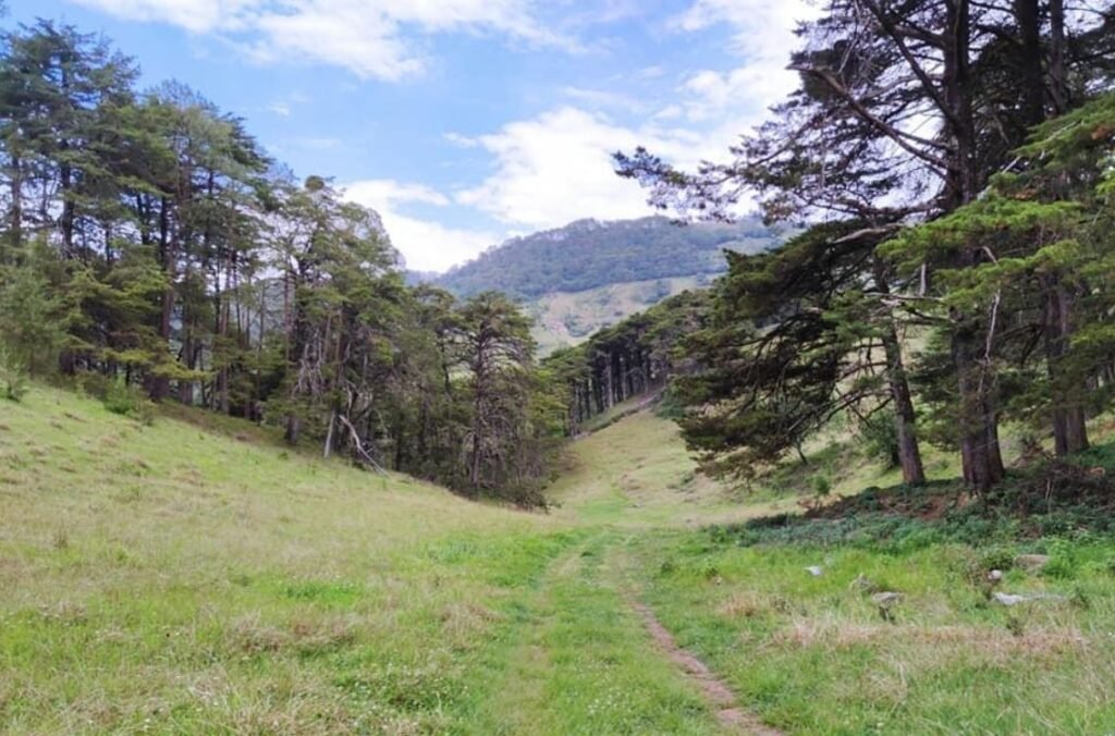 Senderismo, una alternativa para descubrir los paisajes de Querétaro