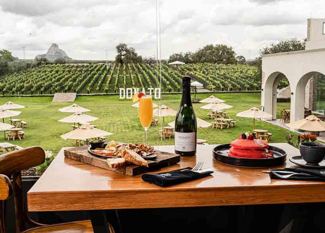 Nuevos viñedos amplían las experiencias de enoturismo en Querétaro